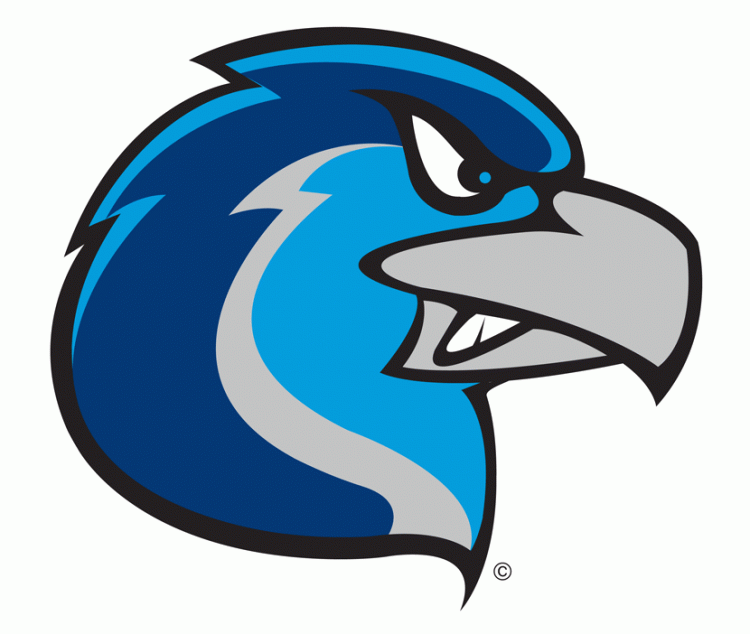 Rockford Riverhawks 2007-Pres Alternate Logo iron on heat transfer
